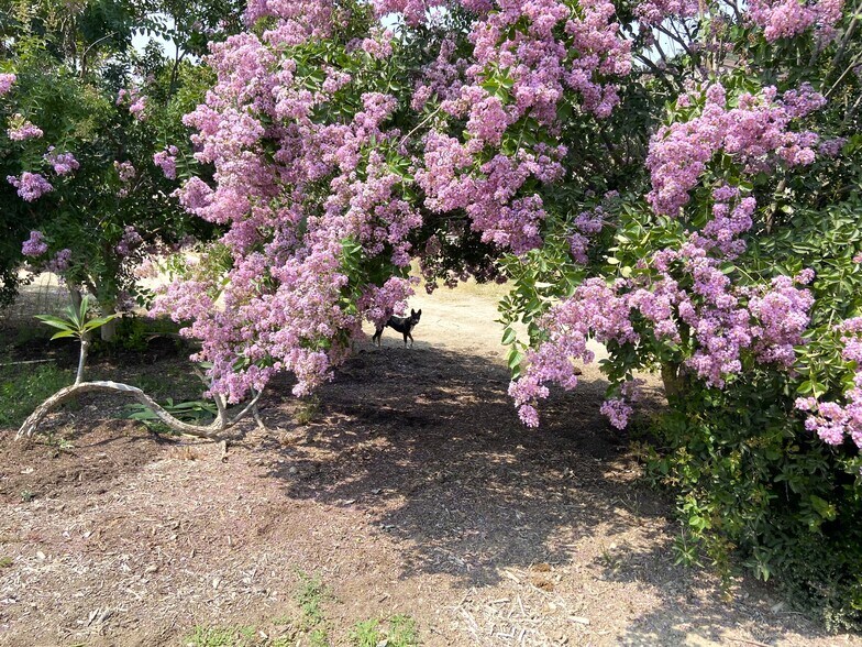 More Photos Of 12120 Stockton Rd, Moorpark Land For Sale