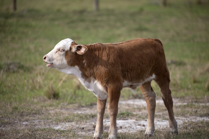 More Photos Of 4020 Country Club rd, Winter Haven Land For Sale