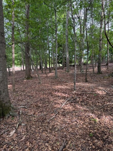 More Photos Of 357 Linwood dr, Gainesville Land For Sale