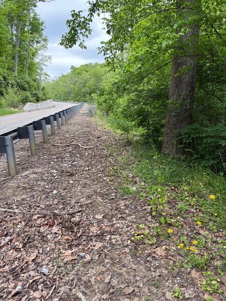 More Photos Of 30-Acres Wolfpen Pleasant Hill Rd, Day Heights Land For Sale