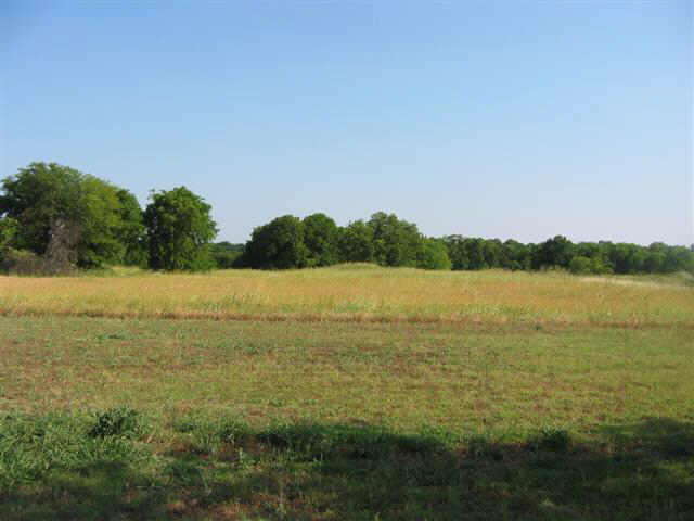 More Photos Of 12302 FM 121, Van Alstyne Office For Lease