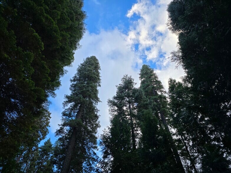 More Photos Of 1229 Blair Rd, Pollock Pines Land For Sale