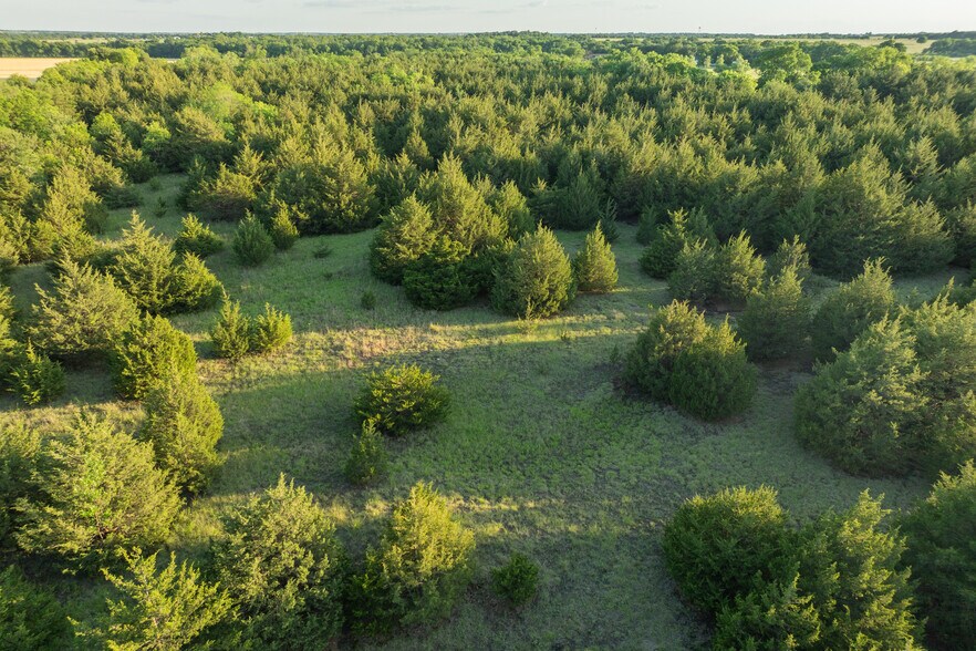More Photos Of 3150 FM 272, Celeste Land For Sale