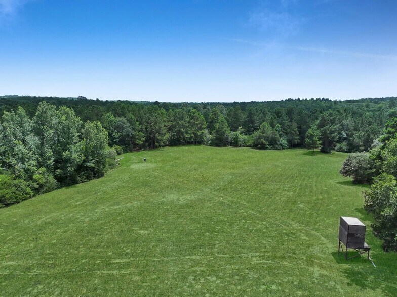 More Photos Of 8323 County Road 292, Buffalo Land For Sale