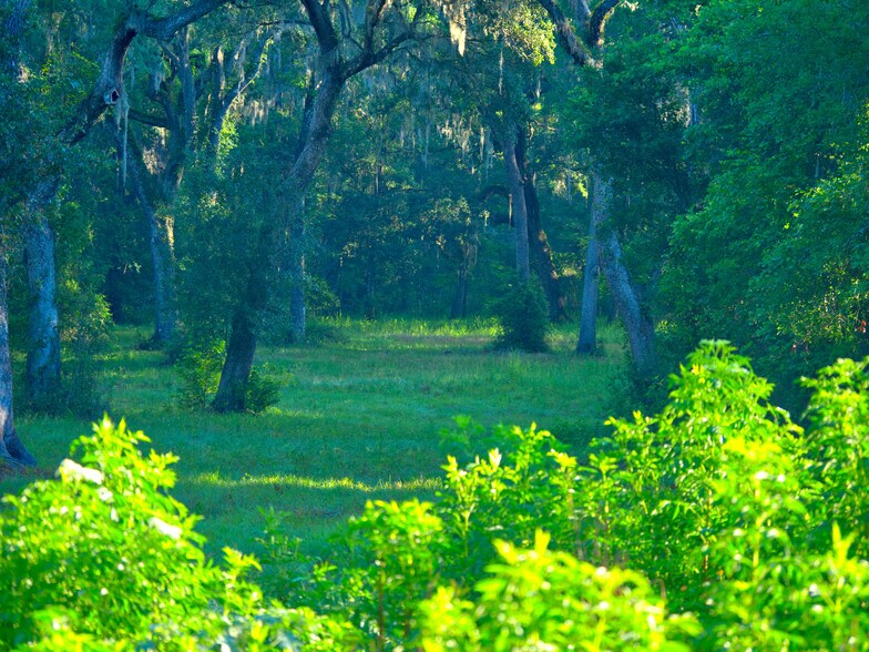 More Photos Of 3267 Neff Lake Rd, Brooksville Land For Sale