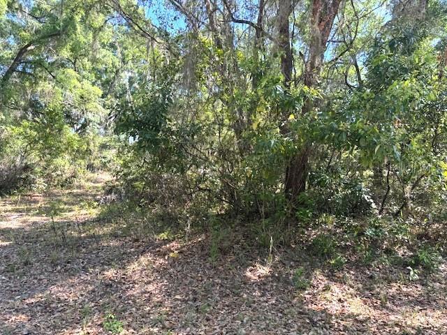 More Photos Of 4140 Kenvera loop, Inverness Land For Sale