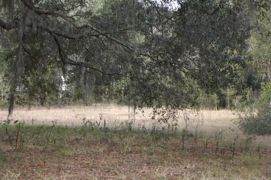 More Photos Of Lucas St, Leesburg Land For Sale