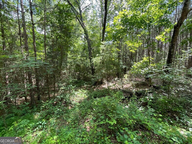 More Photos Of 0 Fallen Branch Circle Southeast, Rome Land For Sale