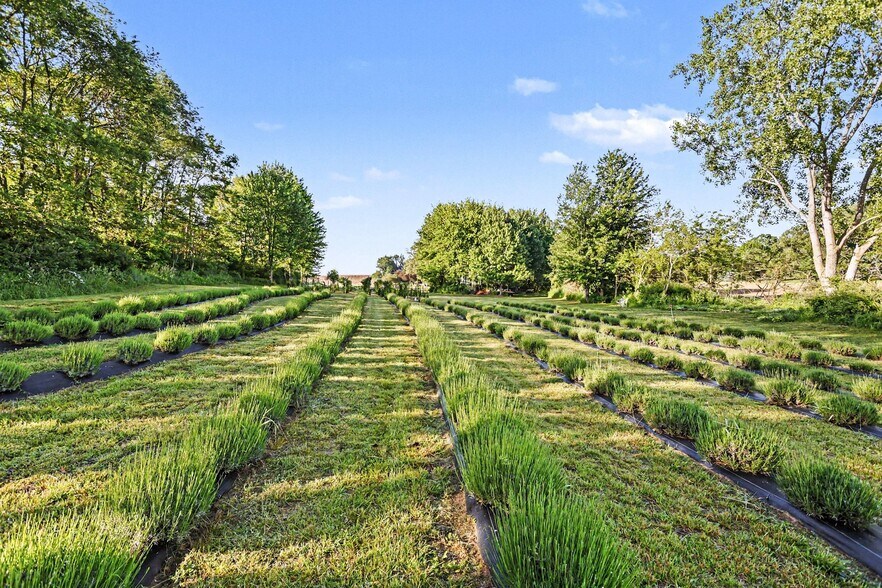 More Photos Of 2175 E Hinchman Rd, Berrien Springs Land For Sale