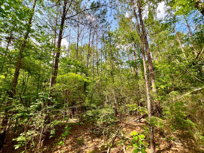 More Photos Of 2700 Ford Chapel, Lufkin Land For Sale