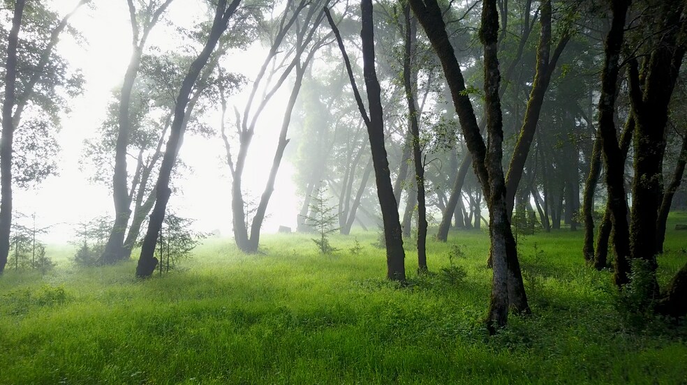 More Photos Of 18501 Van Zandt Resort Rd, Philo Lodge Meeting Hall For Sale