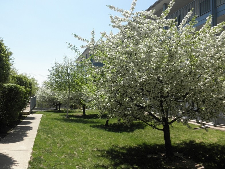 More Photos Of 360 Schaefer Dr, Branson Apartments For Sale