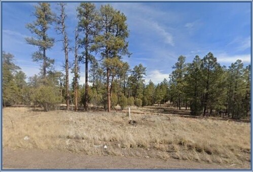 Primary Photo Of 4900 Arizona 260, Lakeside Land For Sale
