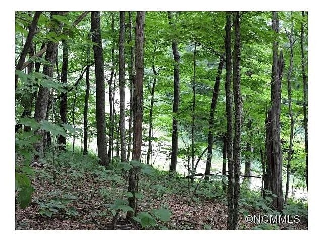More Photos Of 329 Hamlin Lane, Mars Hill Land For Sale