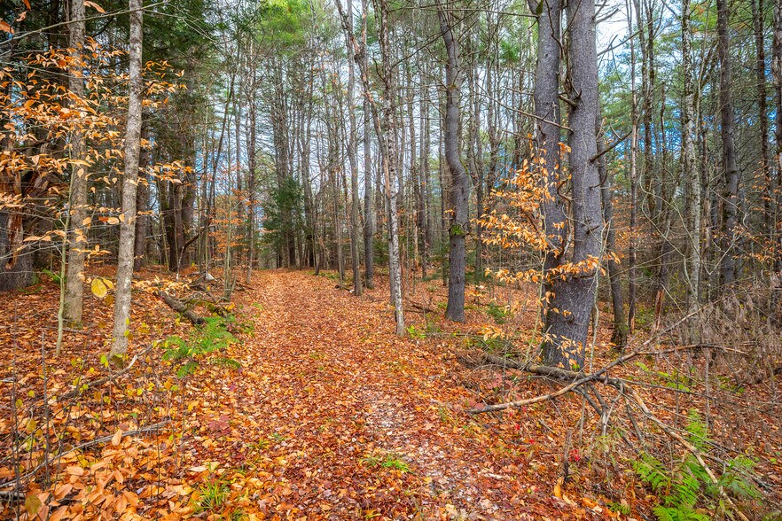 More Photos Of 40 E Putney Brook Rd, Putney Land For Sale