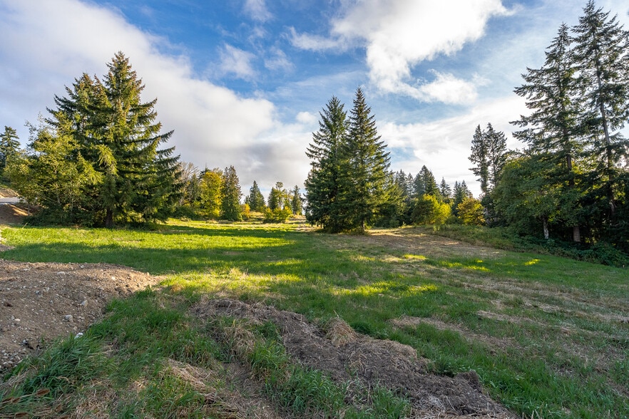 More Photos Of 0 Salzer Creek (was Fair St), Centralia Land For Sale