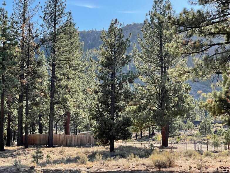 More Photos Of 415-025 Scott Rd, Doyle Land For Sale
