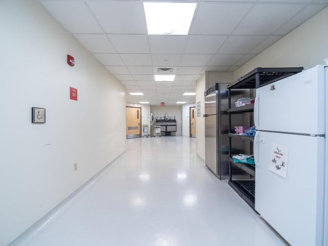 More Photos Of 10 Timberview Ln, Russell Medical For Sale