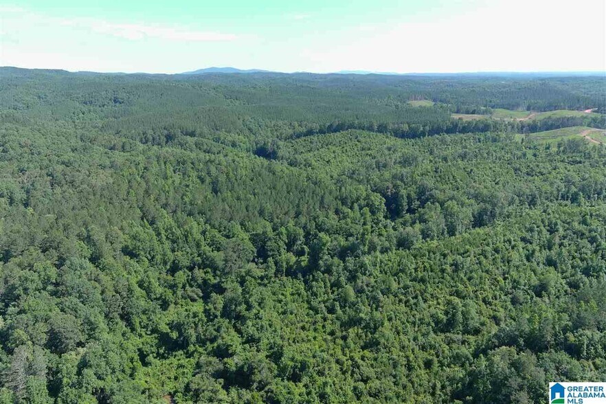 More Photos Of 0 County Rd 61, Fruithurst Land For Sale