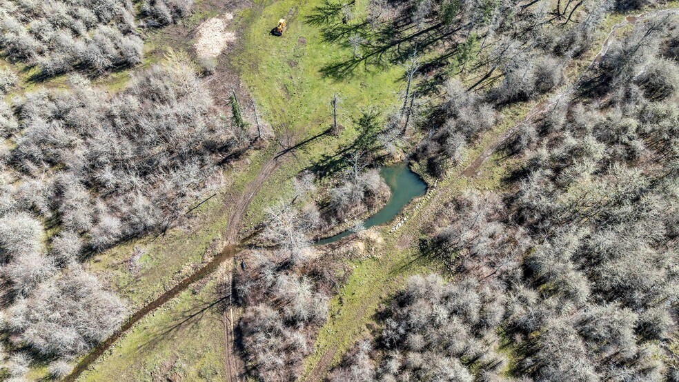More Photos Of 35377 Ede Rd, Lebanon Land For Sale