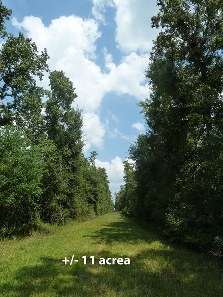 More Photos Of 411 Springwood Dr, Conroe Land For Sale