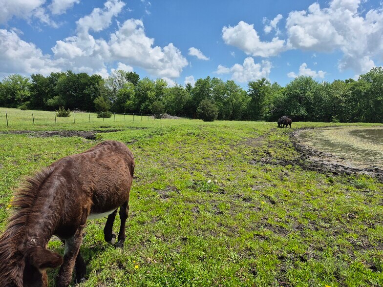 More Photos Of 9561 N TX-50 Hwy, Ladonia Land For Sale