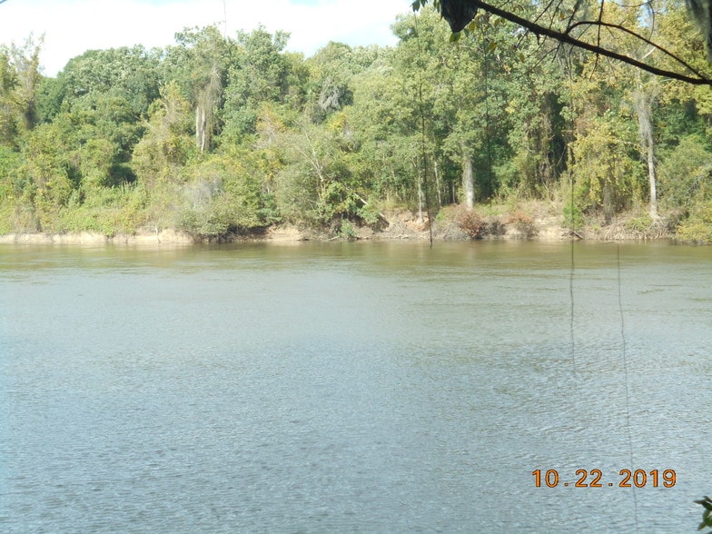 More Photos Of 282 Tuckasee King Rd, Clyo Land For Sale