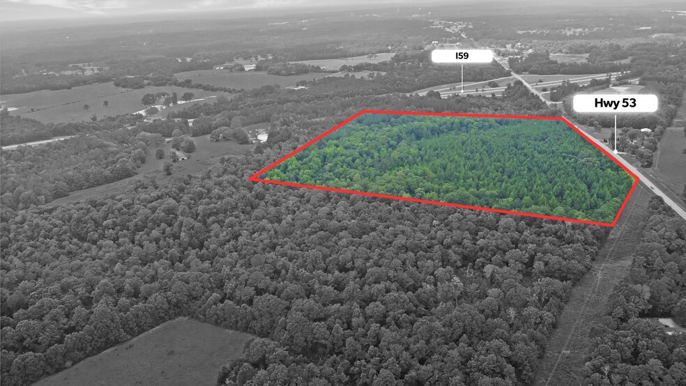 More Photos Of 0 Highway 53, Poplarville Land For Sale