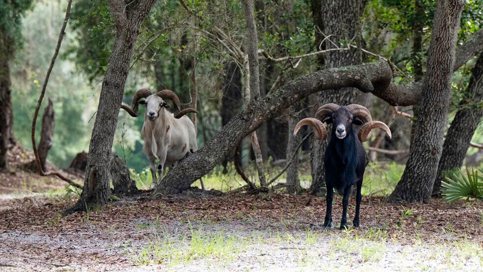 More Photos Of 134 Shoreside Trail, Crescent City Land For Sale