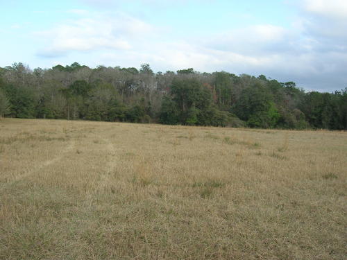 More Photos Of 4107 NE 255th Dr, Melrose Land For Sale