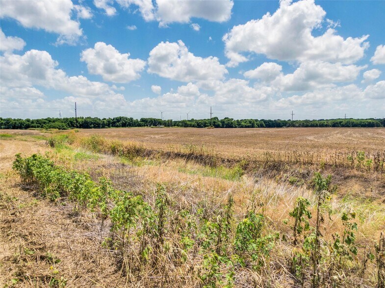 More Photos Of TBD TBD Texas 22, Brandon Land For Sale