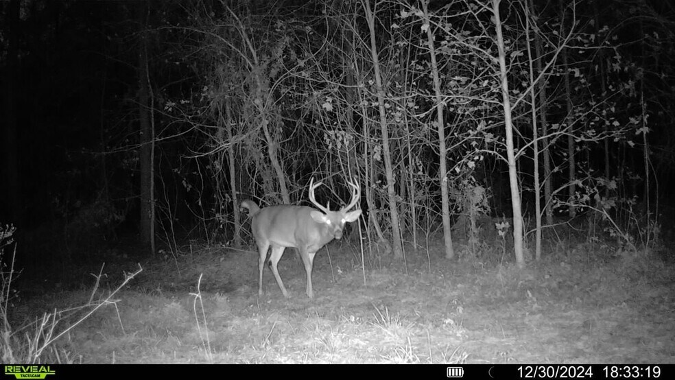 More Photos Of 4433 Pat Thomas Pky, Quincy Land For Sale