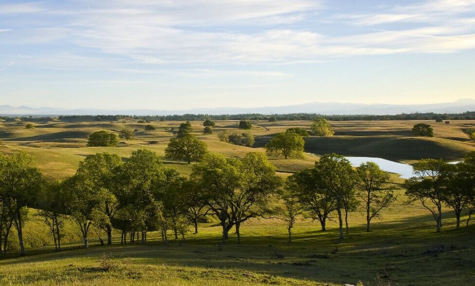 Nine Mile Hill Ranch, Red Bluff, CA 96080 Land For Sale