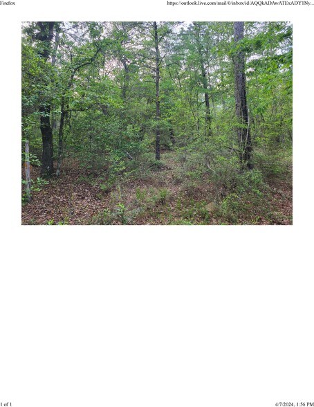 More Photos Of HWY 603, Kiln Land For Sale