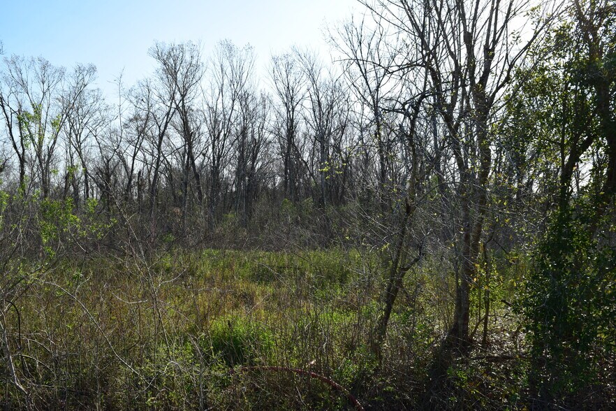 More Photos Of Bailey Rd at Masters rd, Pearland Land For Sale