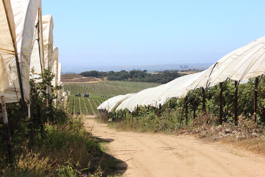 More Photos Of 16475 Blackie Rd, Salinas Land For Sale