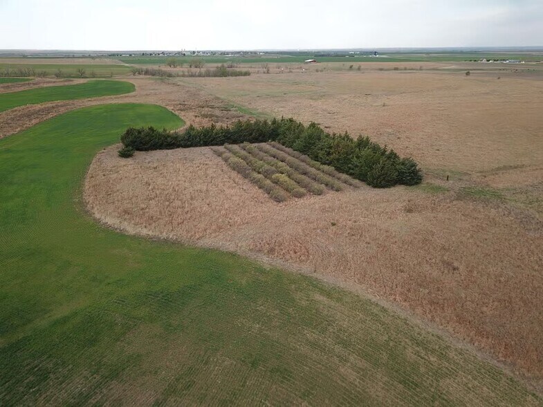 More Photos Of , Damar Land For Sale