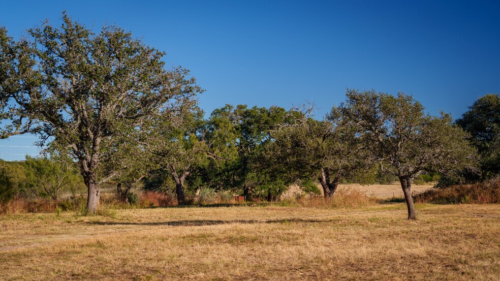 More Photos Of 7499 US 87 hwy, Mason Land For Sale