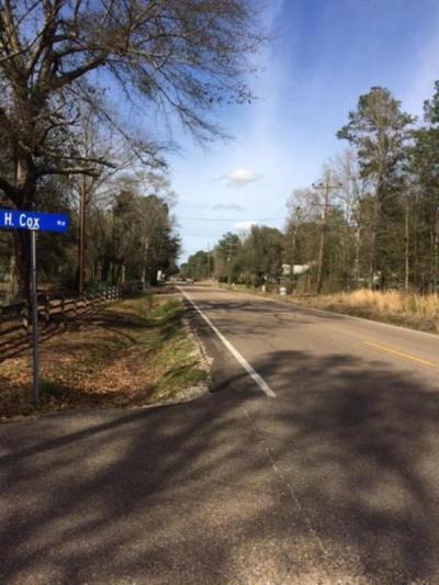 More Photos Of Lee Rd- Hwy 437, Covington Land For Sale