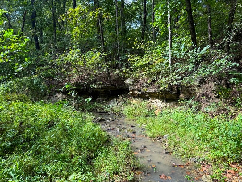 More Photos Of 17660 Golden Rd, Linwood Land For Sale