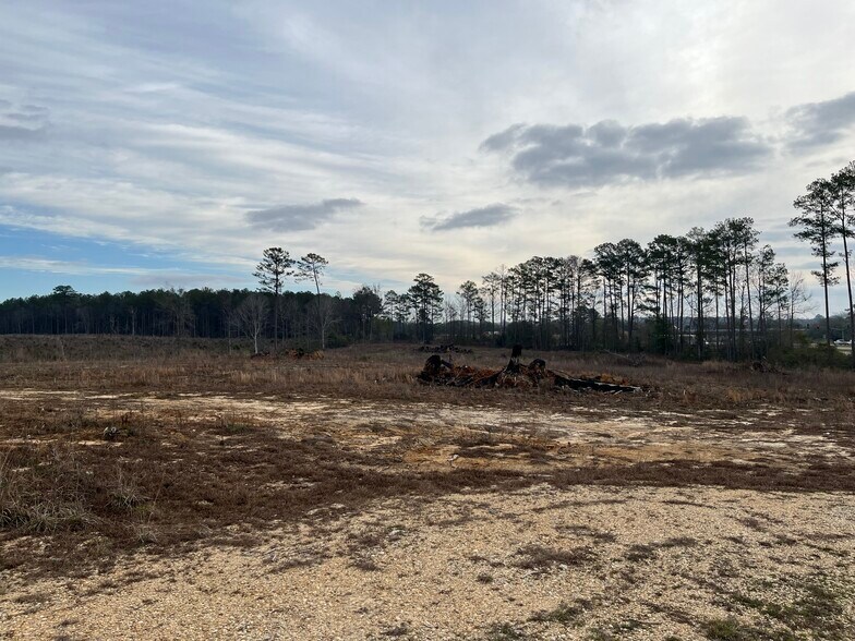 More Photos Of 4149 Highway 24 W, Mccomb Land For Sale