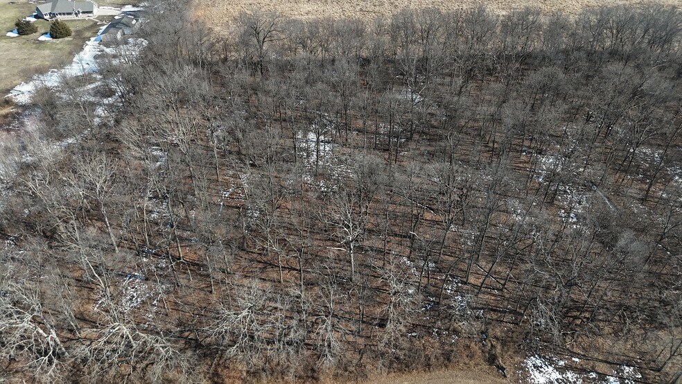 More Photos Of 00 Illinois 148, Mulkeytown Land For Sale