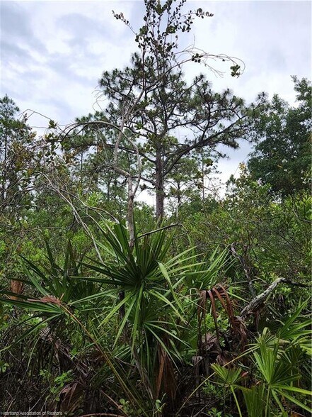 More Photos Of 17470 County Road 731, Venus Land For Sale