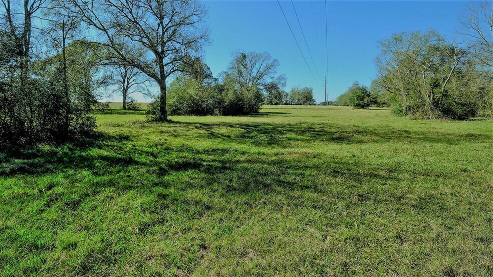 More Photos Of 26266 Fields Store Rd., Waller Land For Sale
