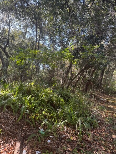 More Photos Of Franklin St, Oviedo Land For Sale