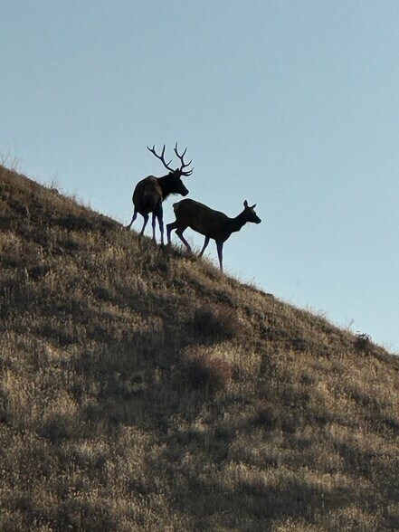 More Photos Of 19825 New Idria Rd, Paicines Land For Sale