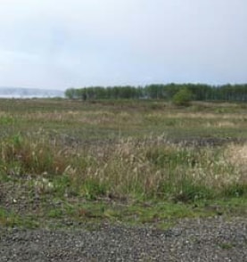 More Photos Of 815 8th St, Hoquiam Land For Sale