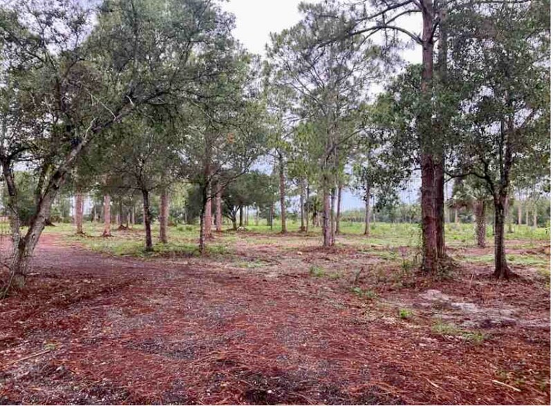 More Photos Of 3100 Pioneer 15th St, Clewiston Land For Sale