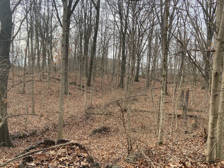 More Photos Of 1365 W Stones Crossing Rd, Greenwood Land For Sale