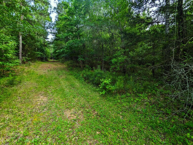 More Photos Of 2725 White Rd NE, Conyers Land For Sale